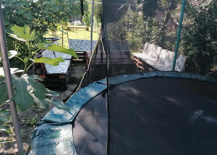 Pacsirta Apartman דירה